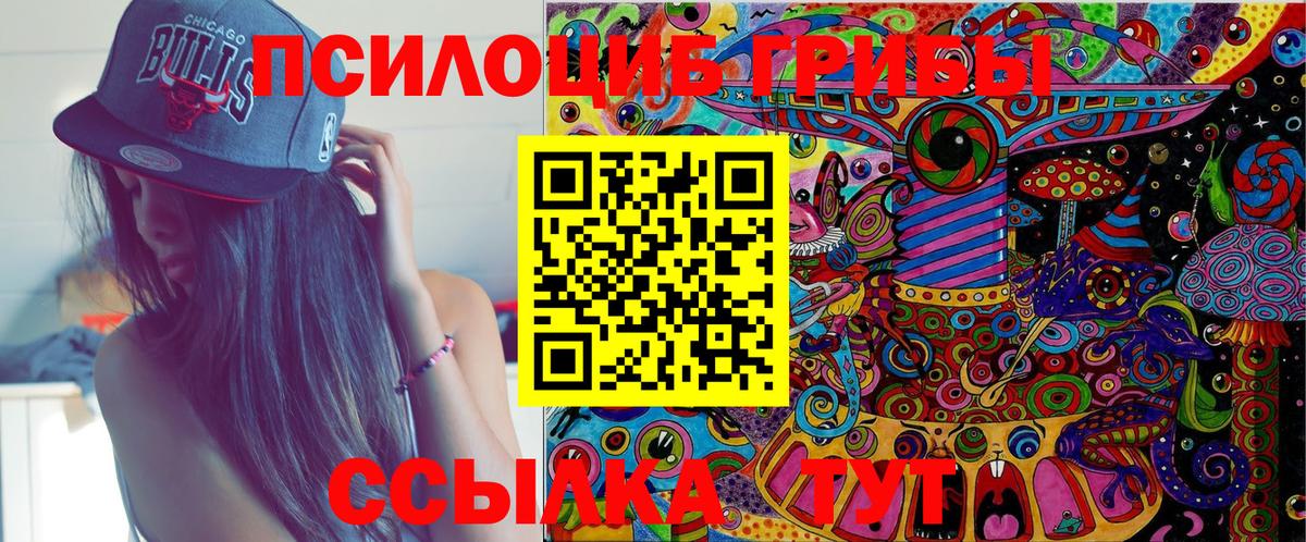 Псилоцибиновые грибы мицелий Баксан